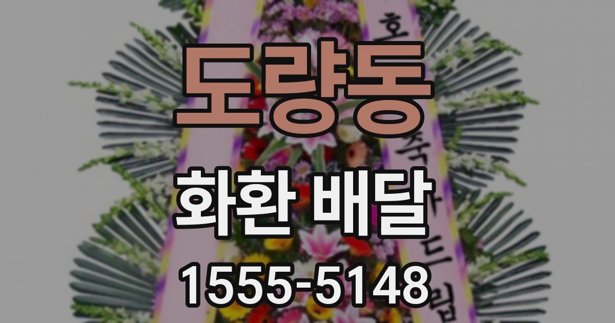 도량동 화환 배달