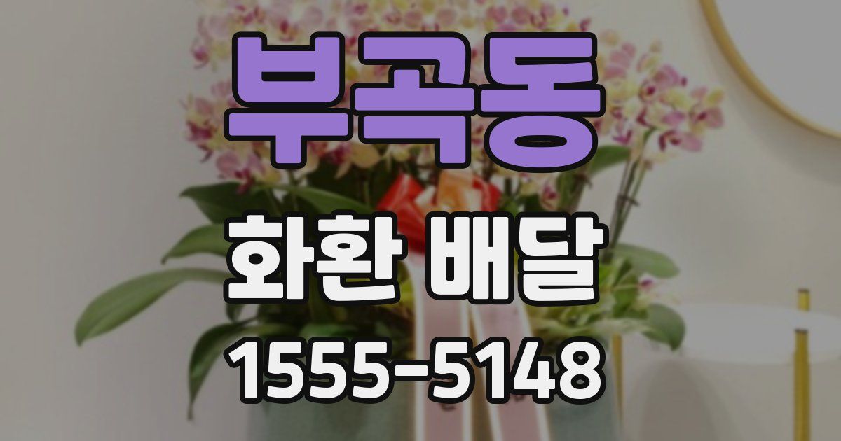 부곡동 화환 배달