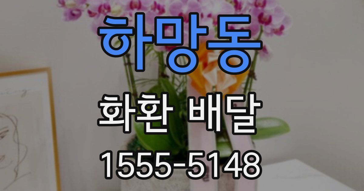 하망동 화환 배달