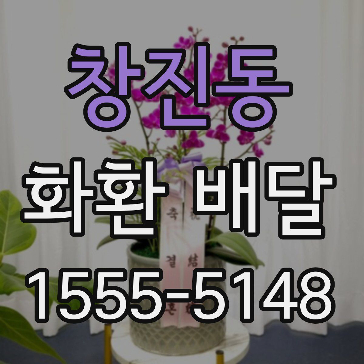 창진동 화환 배달