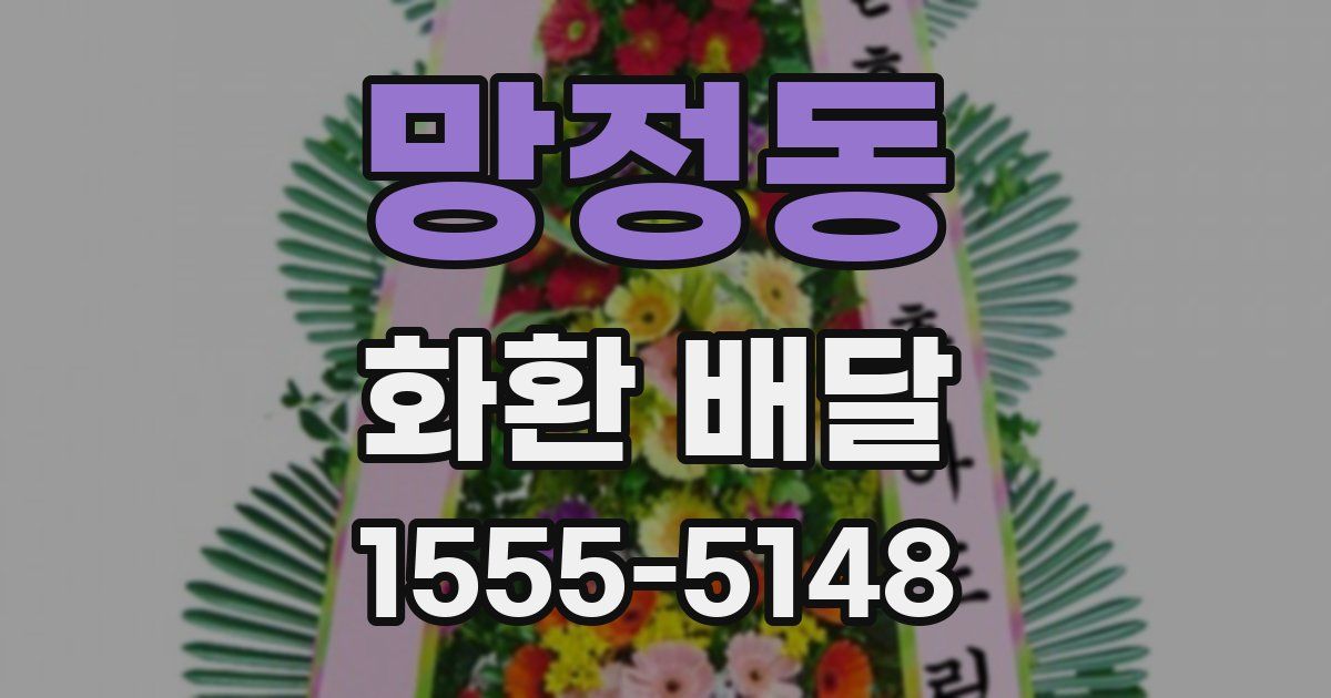 망정동 화환 배달