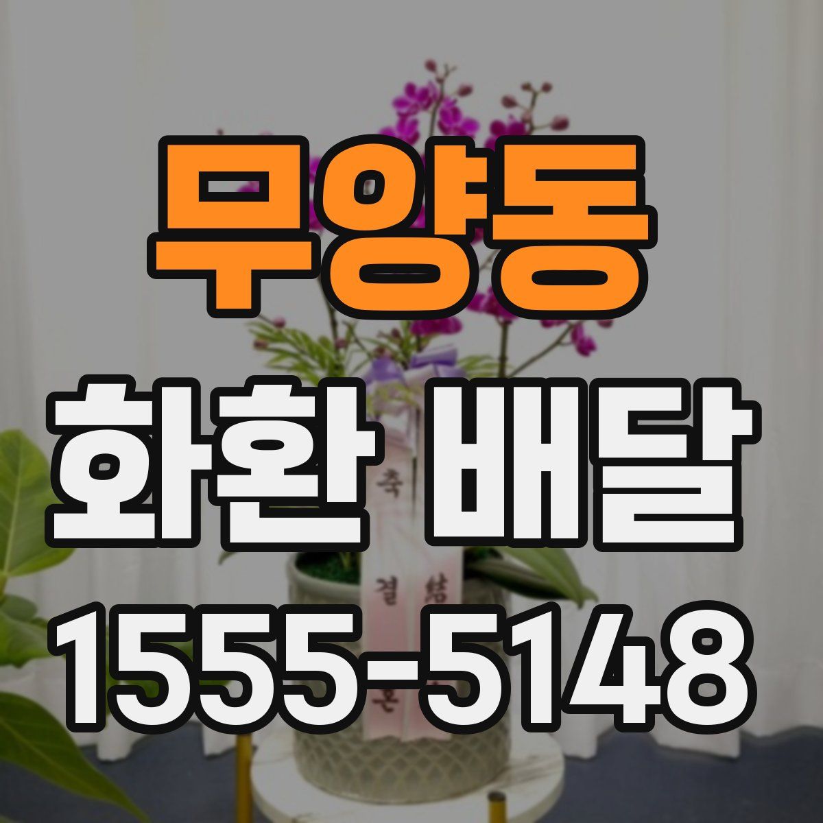 무양동 화환 배달