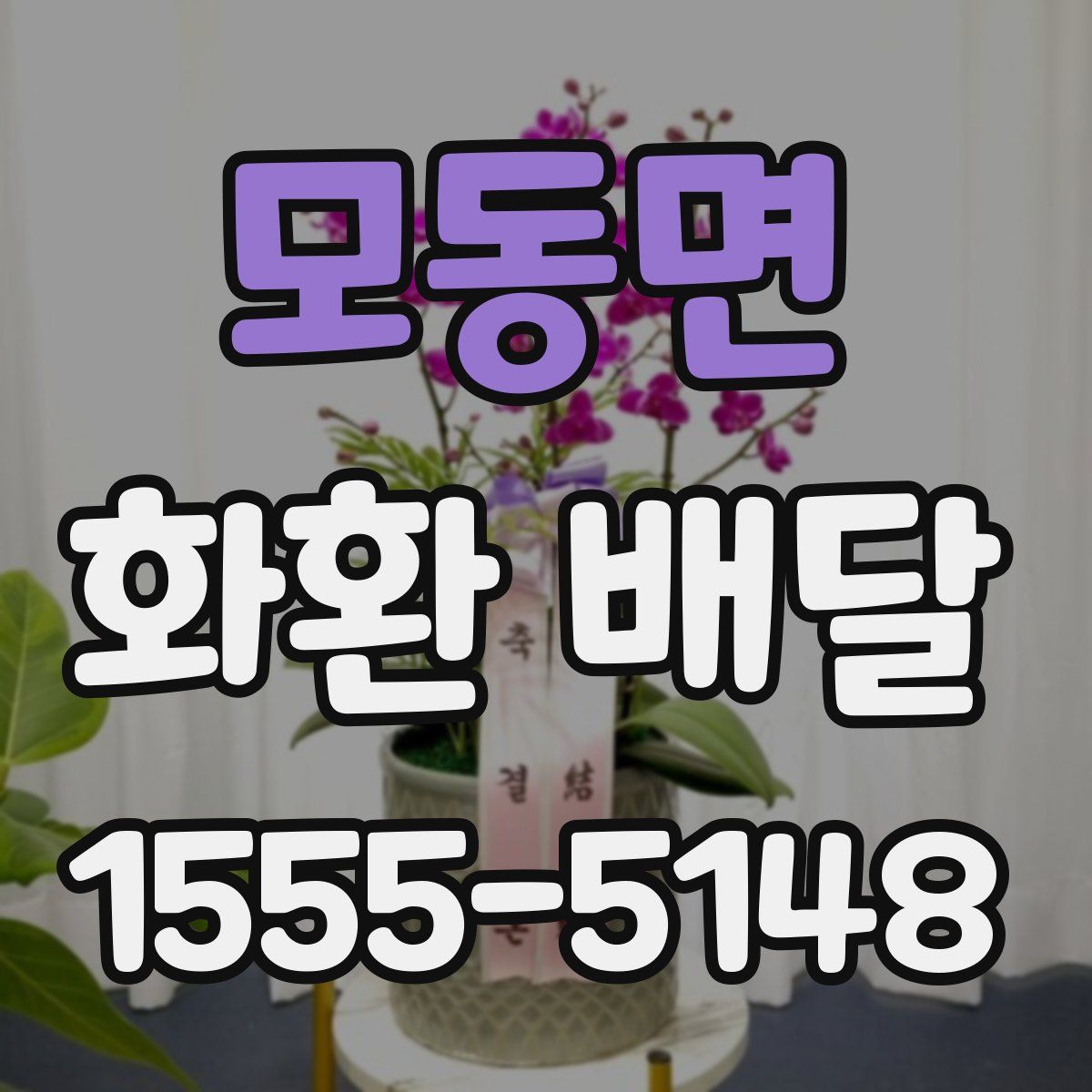 모동면 화환 배달