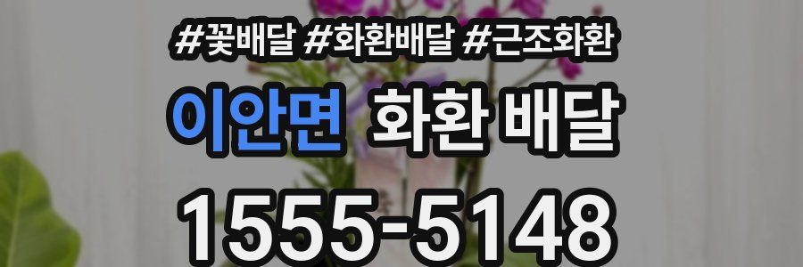 이안면 화환 배달