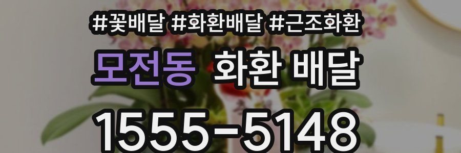 모전동 화환 배달