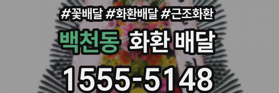 백천동 화환 배달