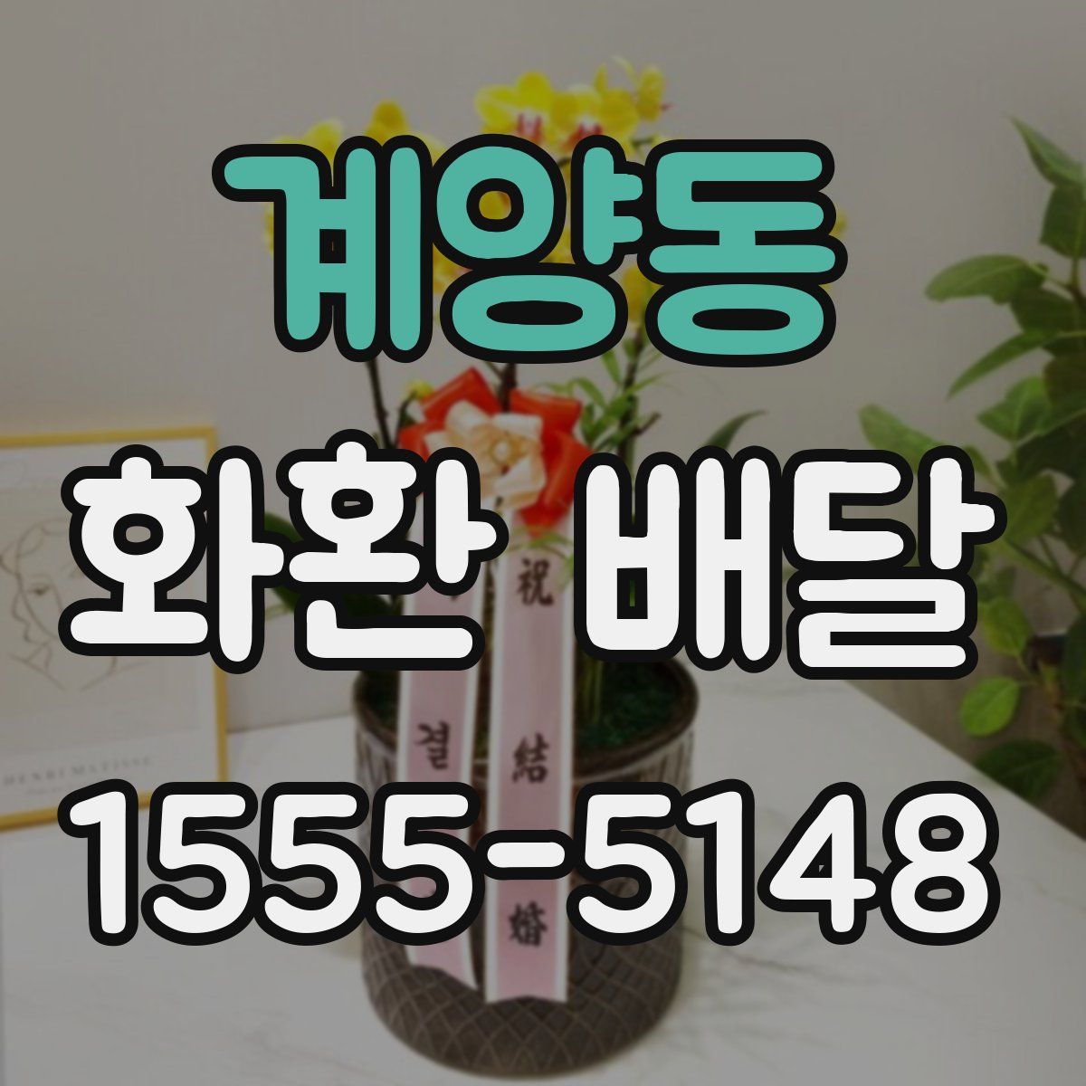 계양동 화환 배달