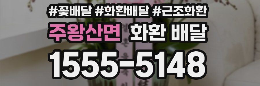 주왕산면 화환 배달