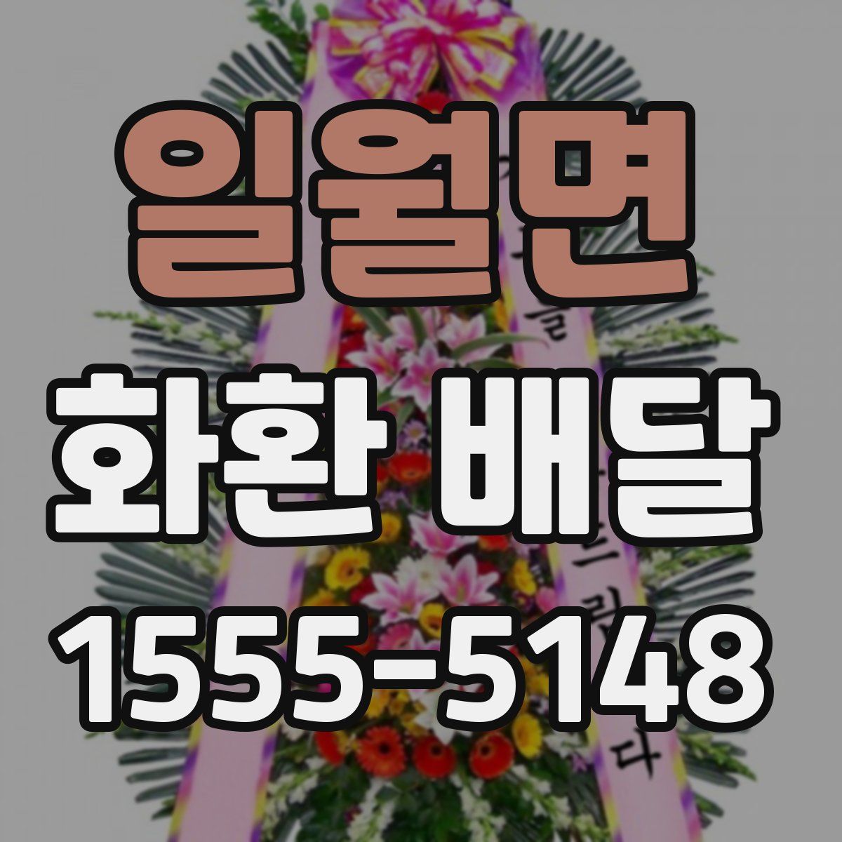 일월면 화환 배달