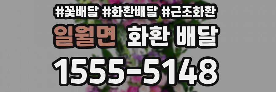일월면 화환 배달