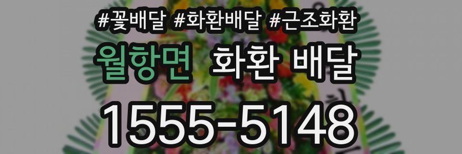 월항면 화환 배달