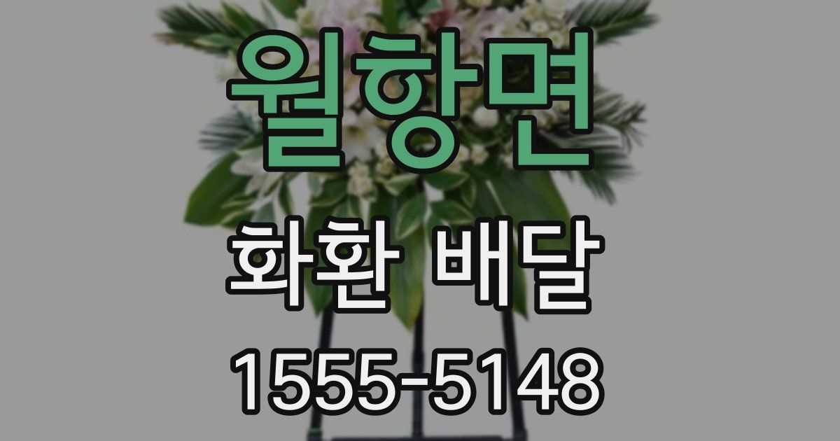 월항면 화환 배달