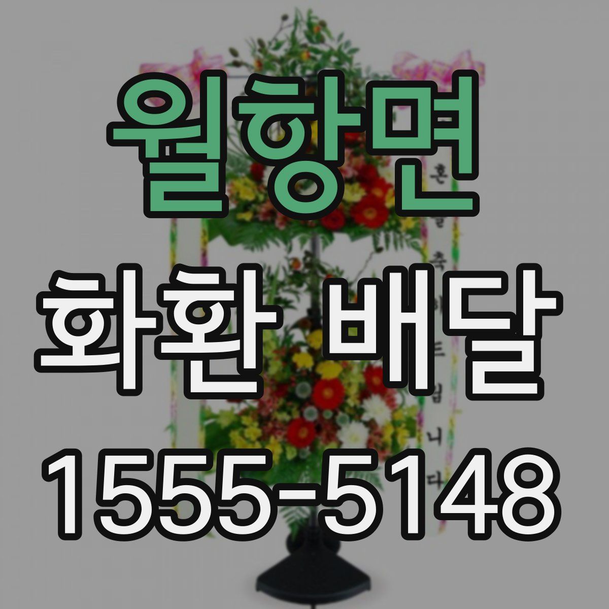 월항면 화환 배달