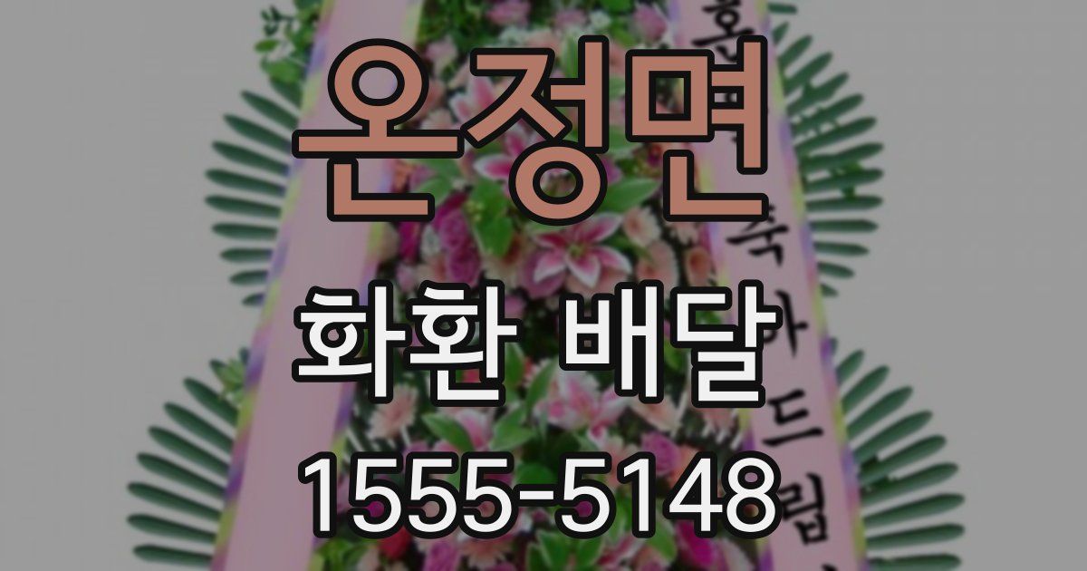 온정면 화환 배달