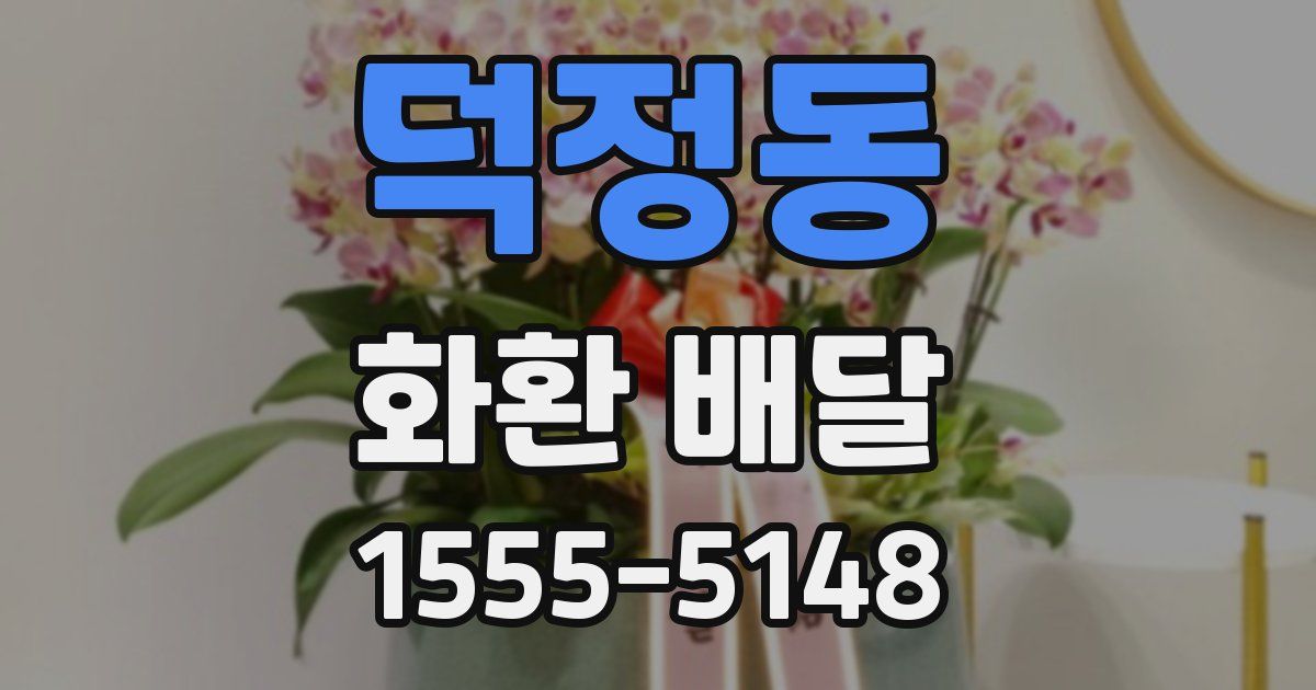 덕정동 화환 배달