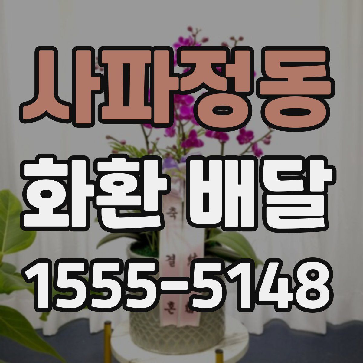 사파정동 화환 배달