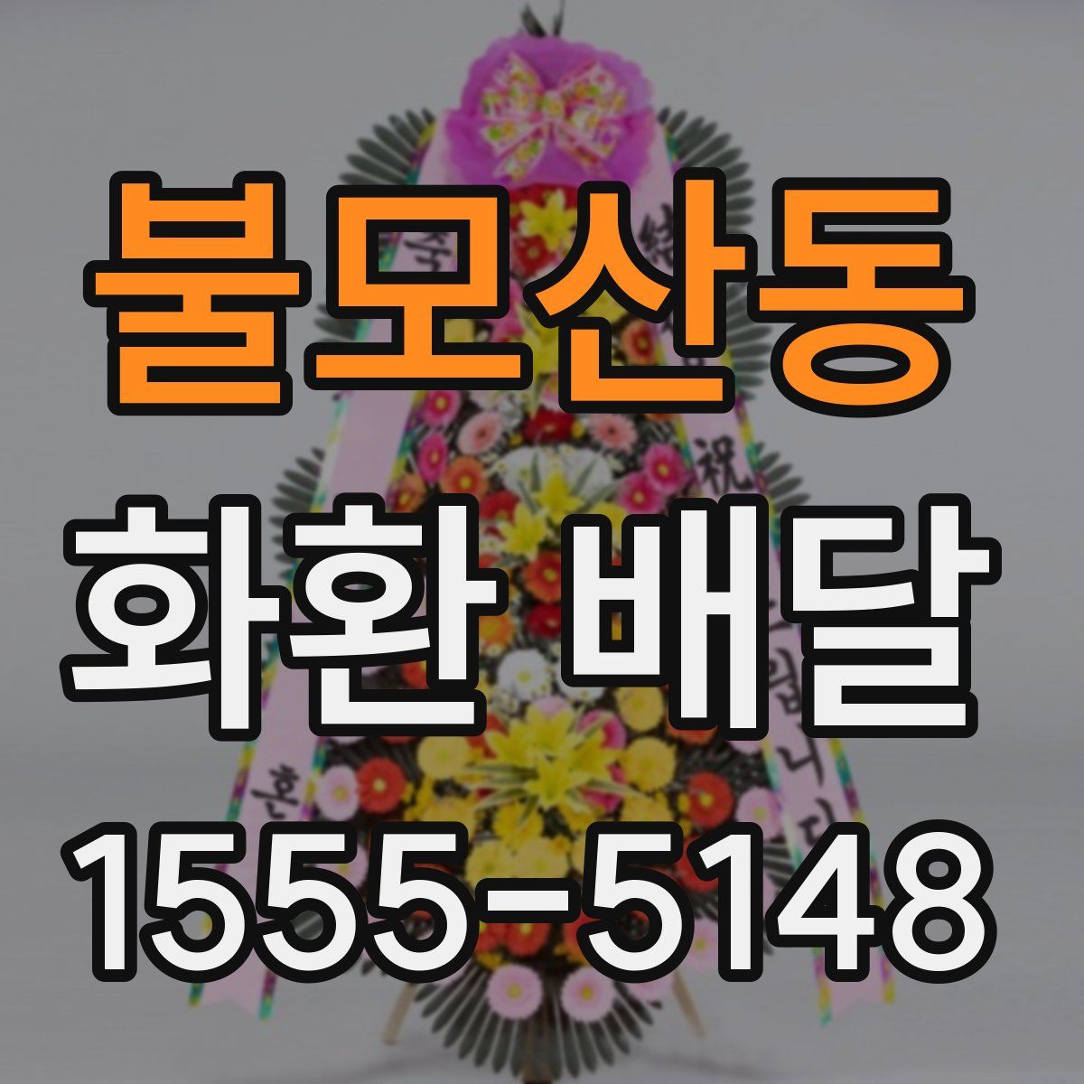 불모산동 화환 배달