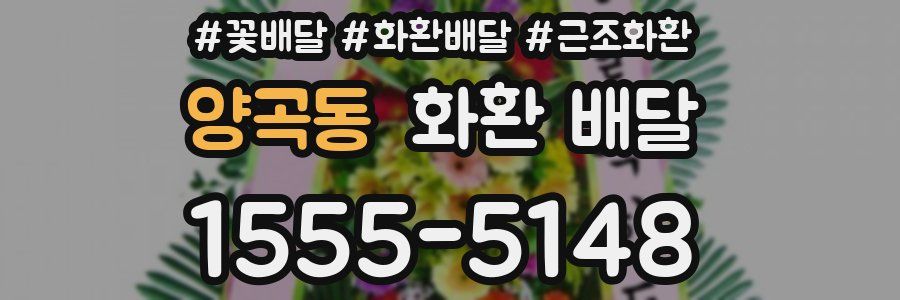 양곡동 화환 배달