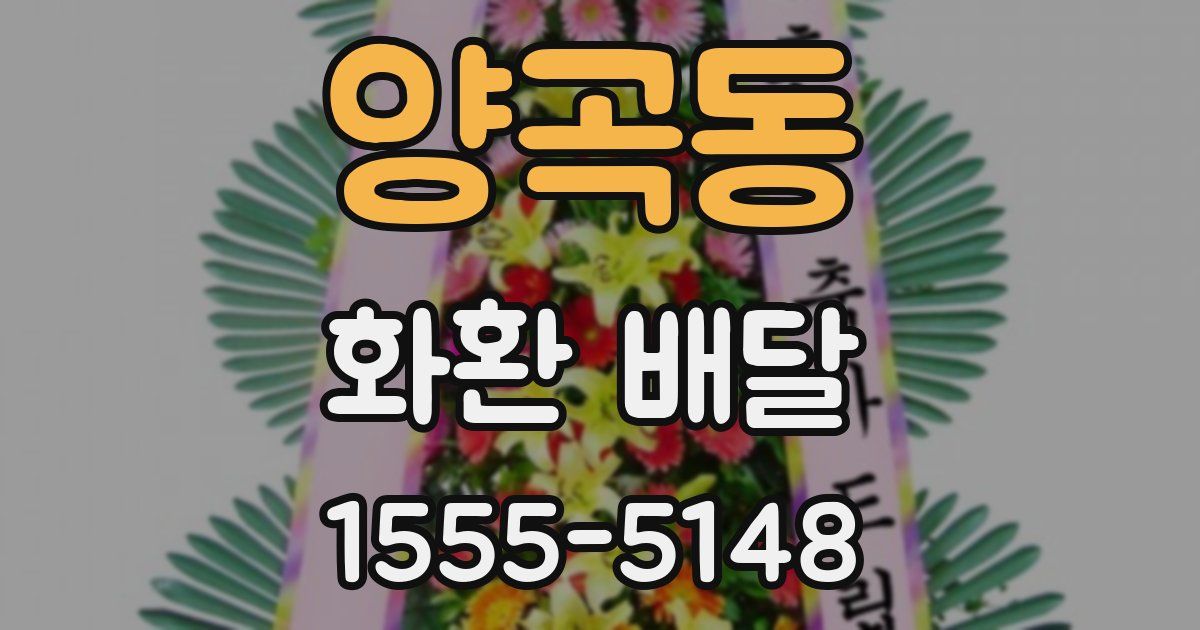 양곡동 화환 배달