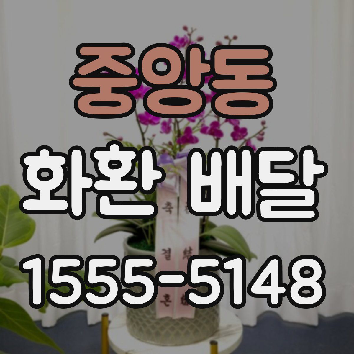 중앙동 화환 배달