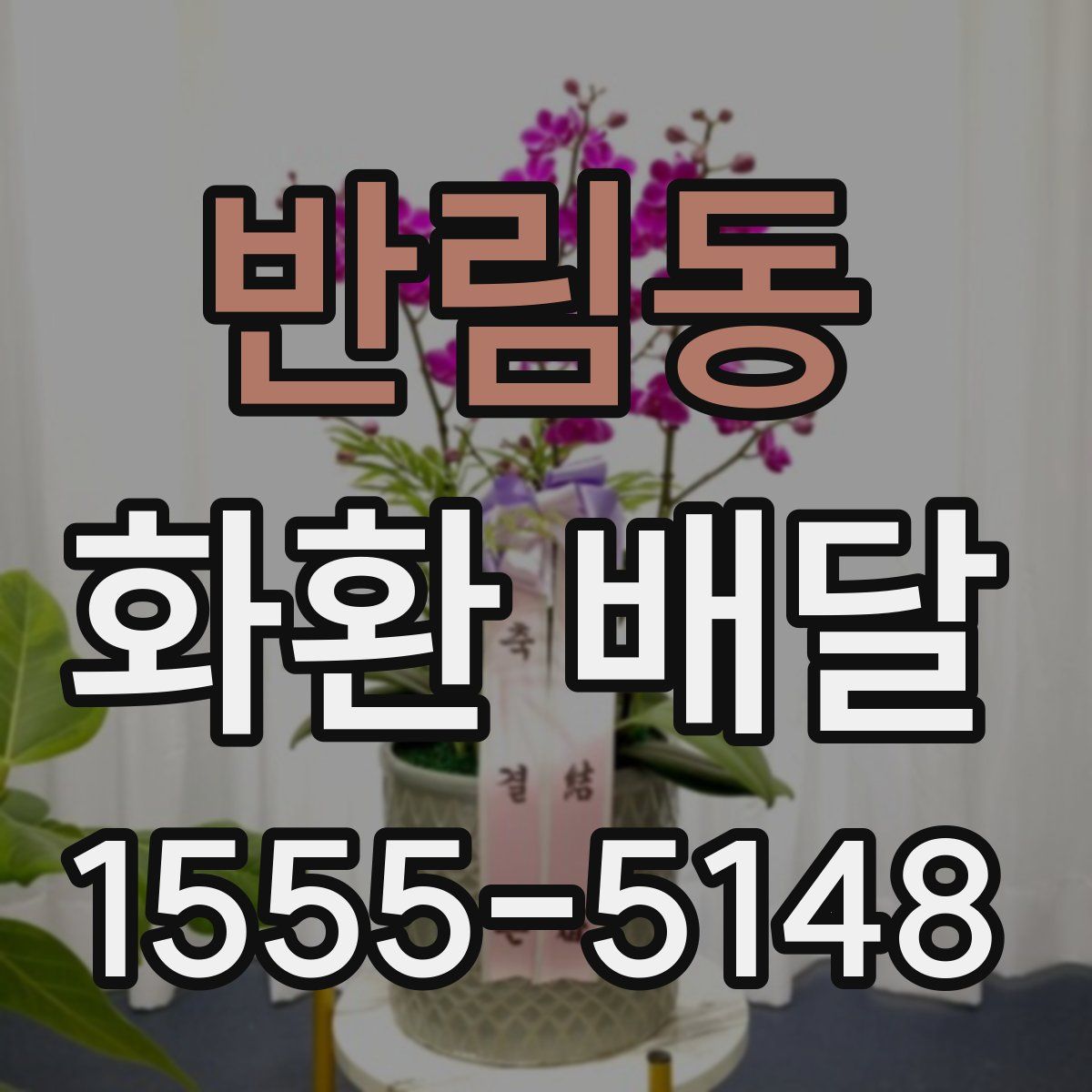 반림동 화환 배달