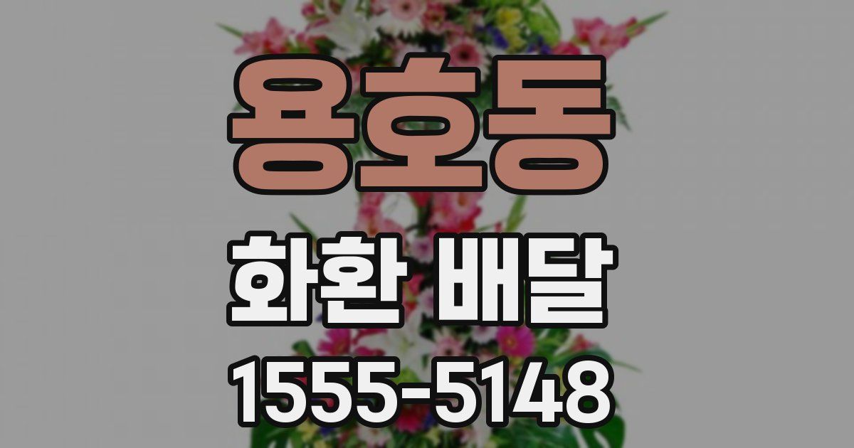 용호동 화환 배달