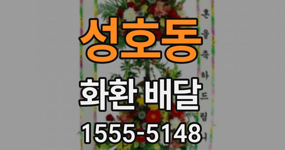 성호동 화환 배달