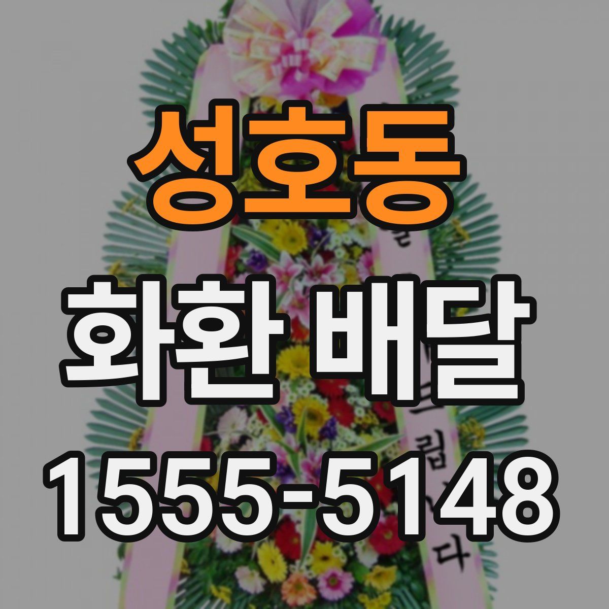 성호동 화환 배달