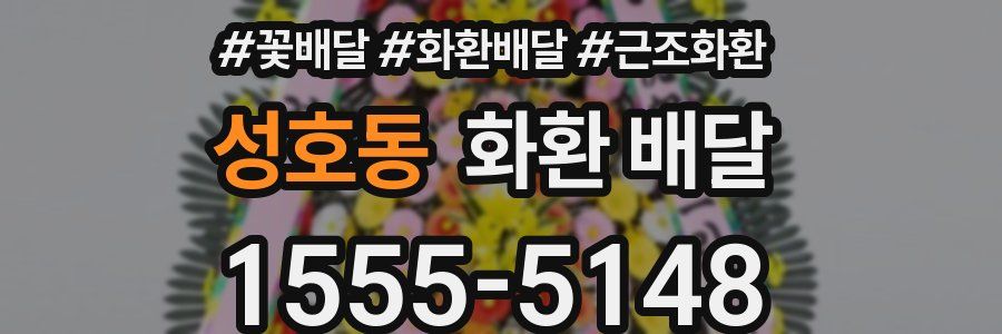 성호동 화환 배달