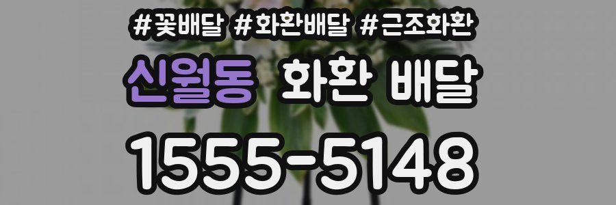 신월동 화환 배달