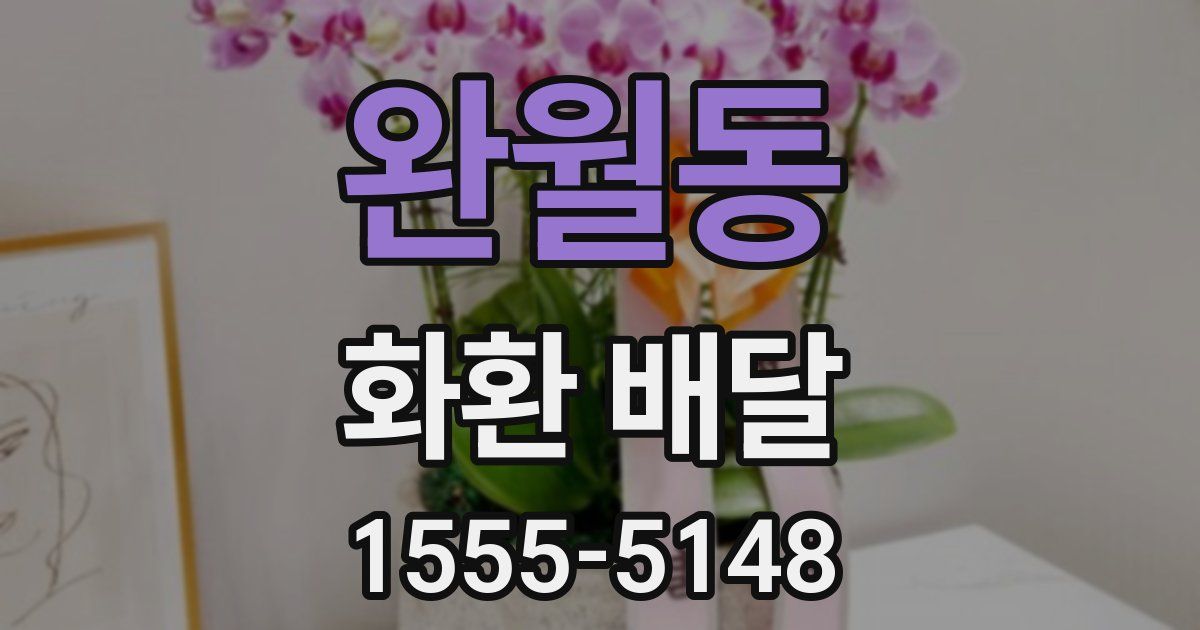 완월동 화환 배달