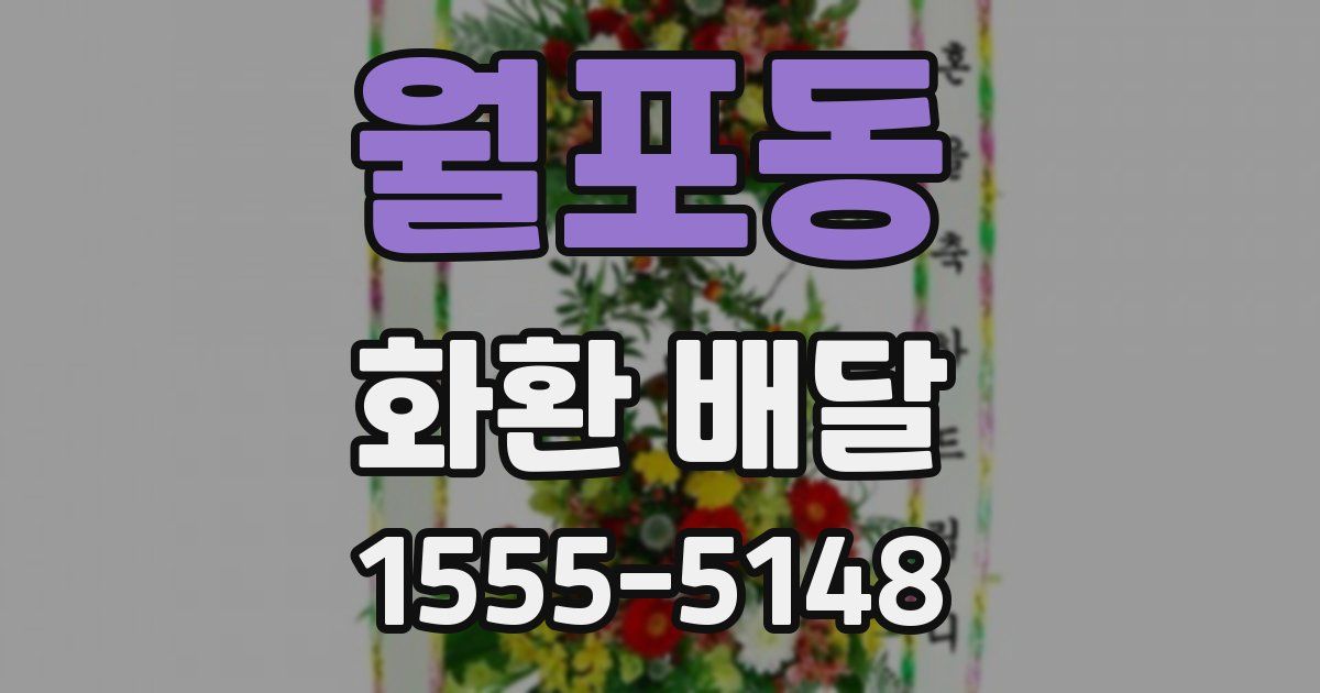 월포동 화환 배달