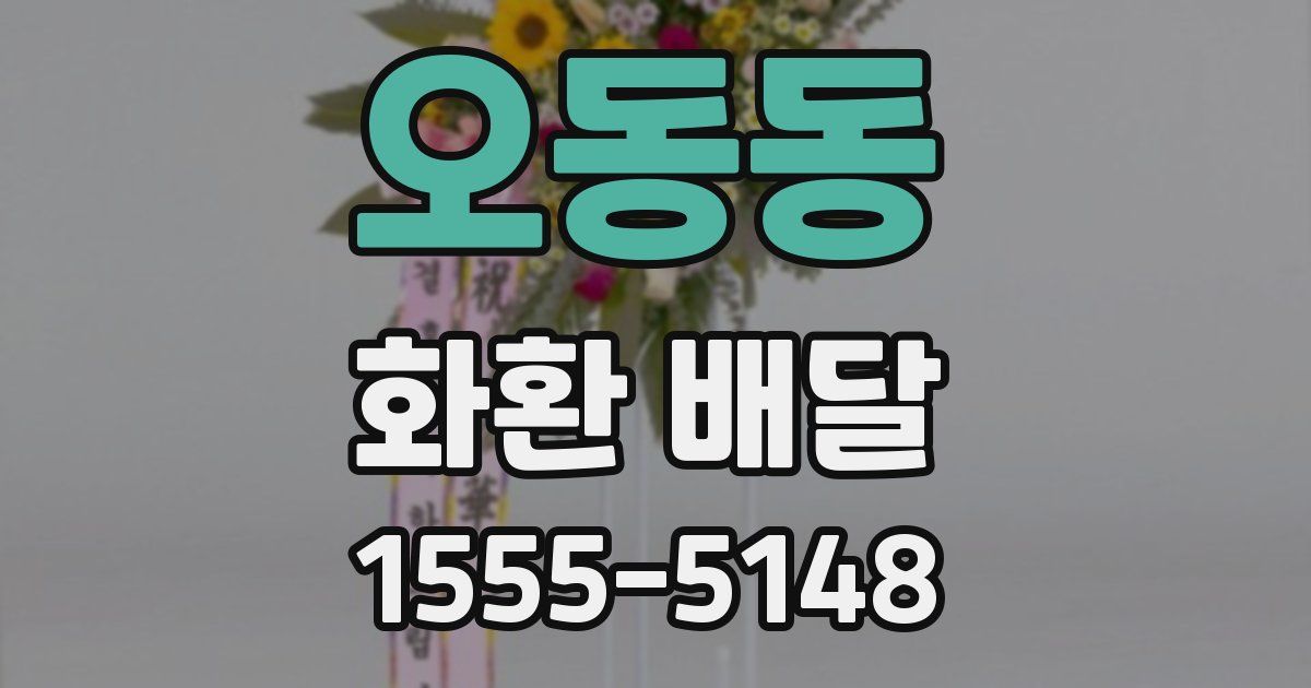 오동동 화환 배달