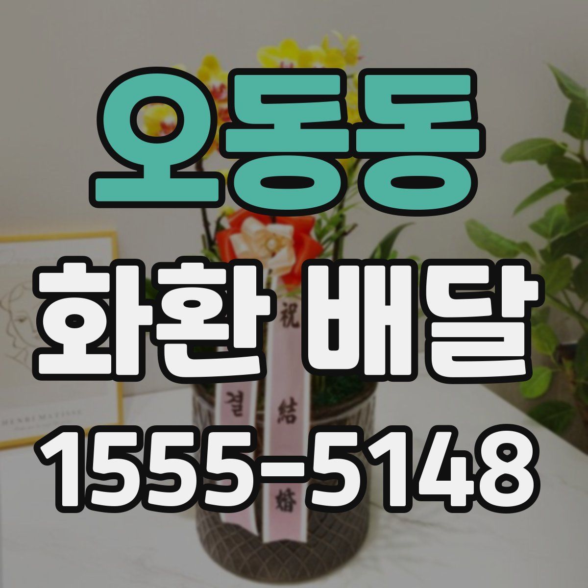 오동동 화환 배달