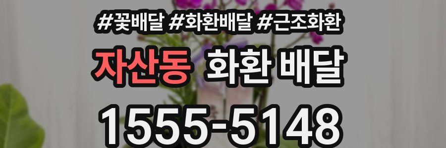 자산동 화환 배달