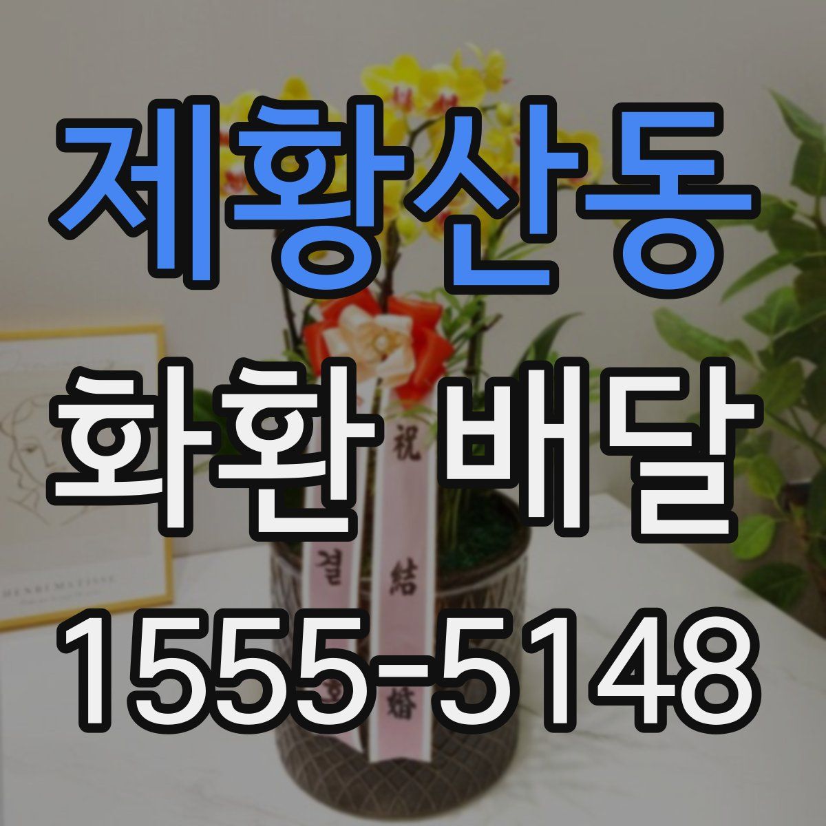 제황산동 화환 배달
