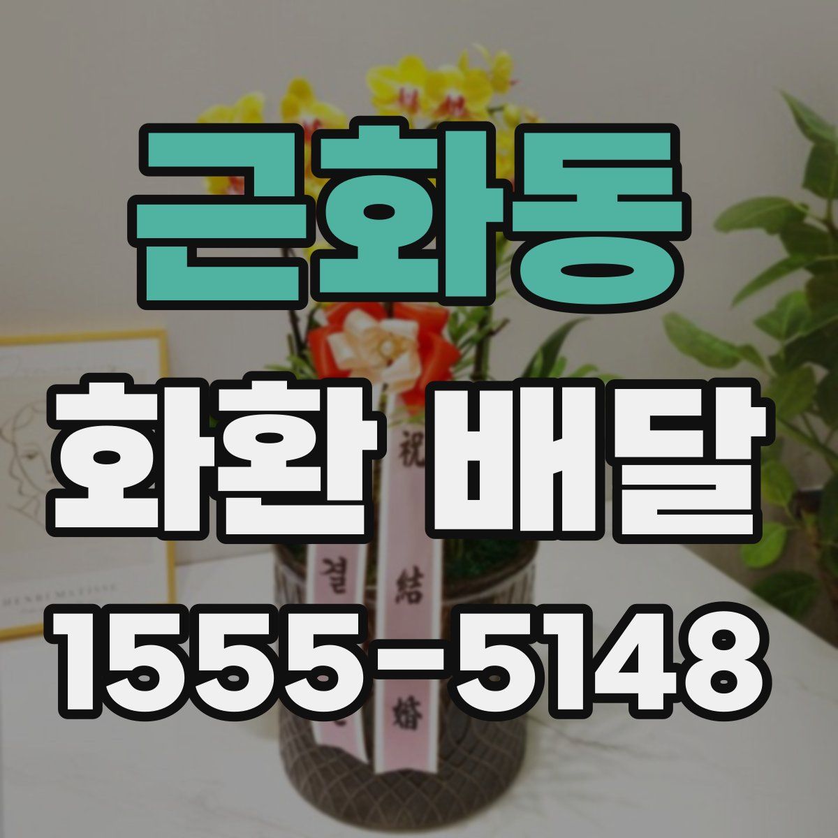 근화동 화환 배달