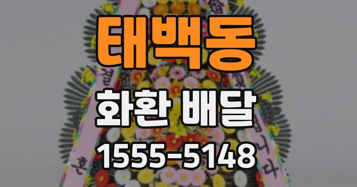 태백동 화환 배달