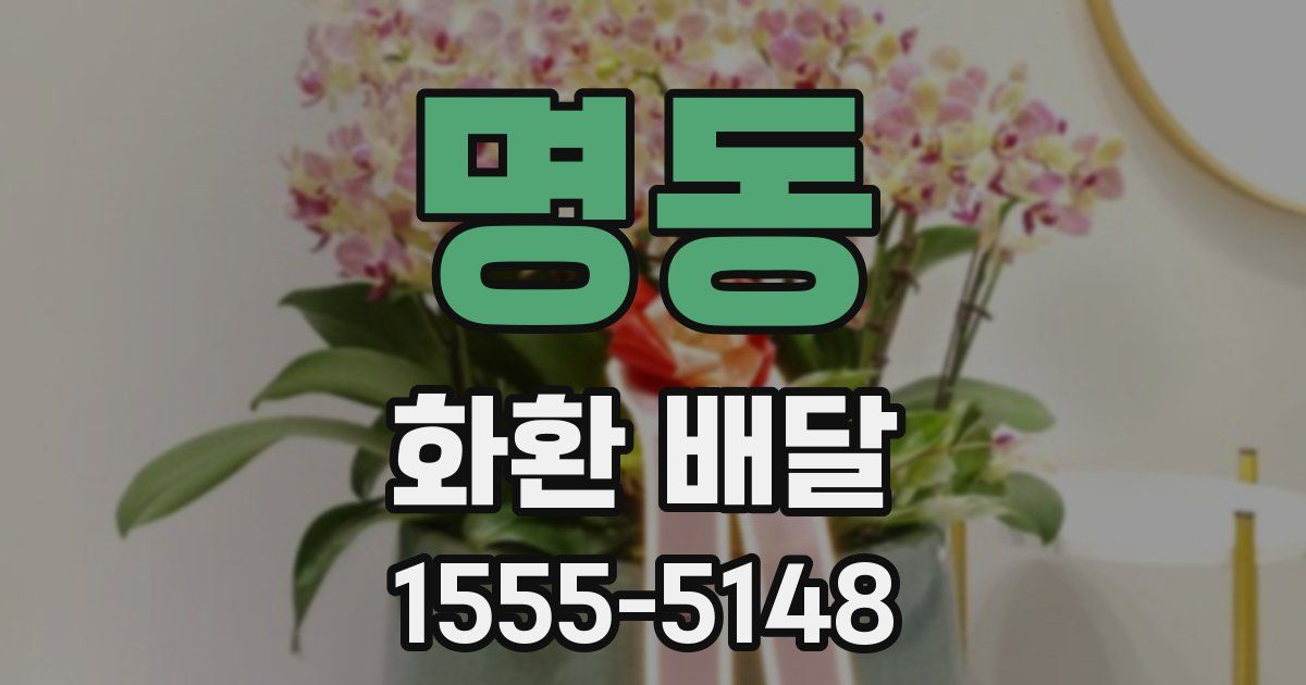 명동 화환 배달