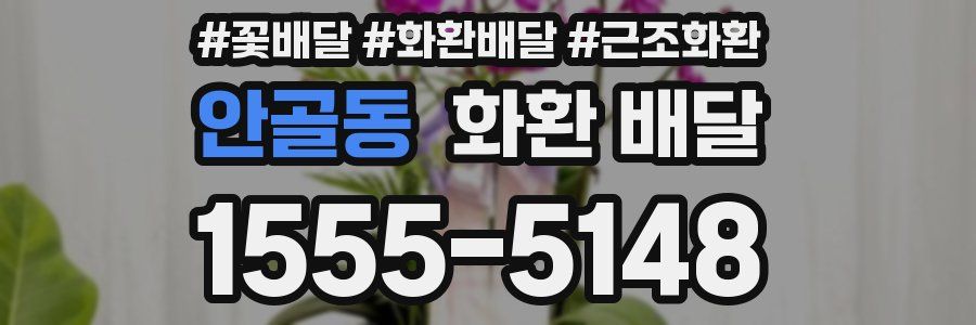 안골동 화환 배달