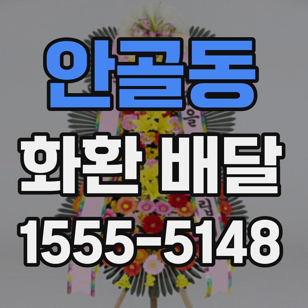 안골동 화환 배달