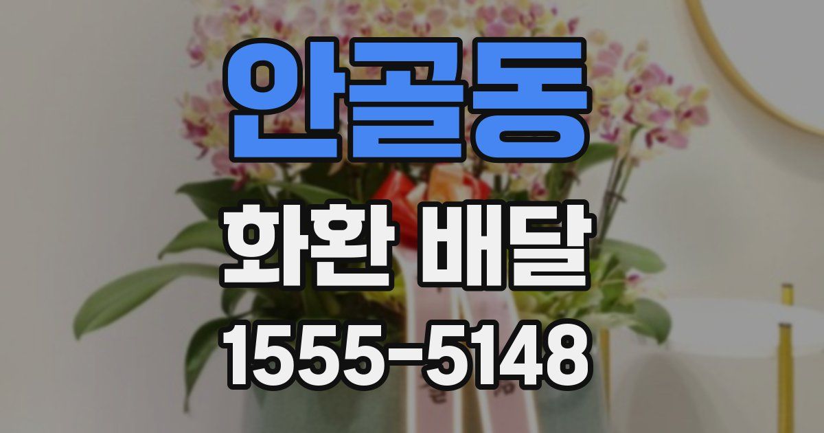 안골동 화환 배달
