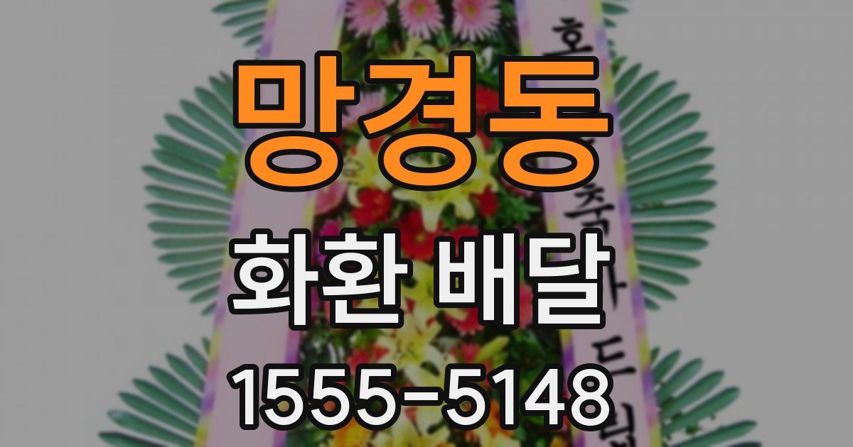 망경동 화환 배달