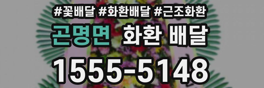 곤명면 화환 배달