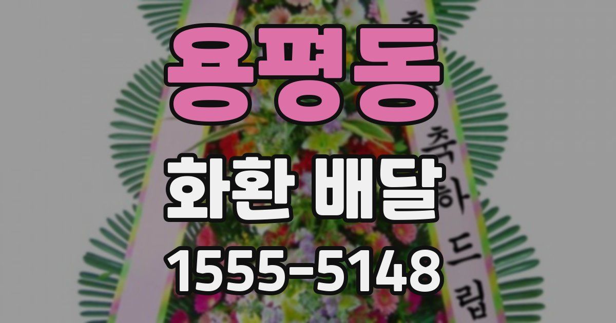 용평동 화환 배달