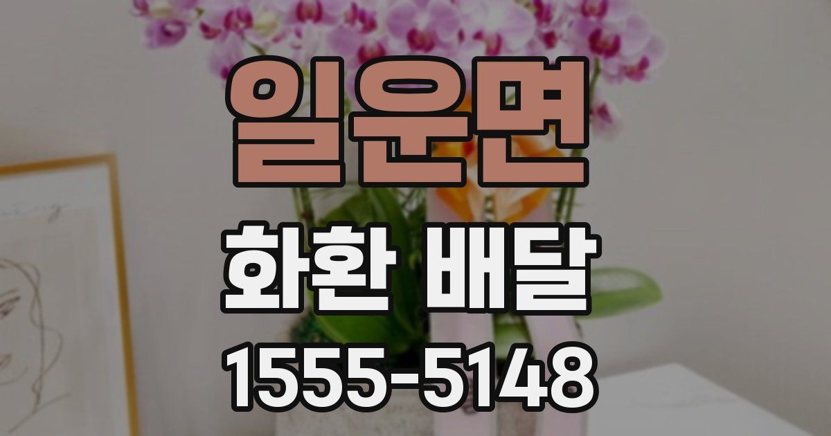 일운면 화환 배달