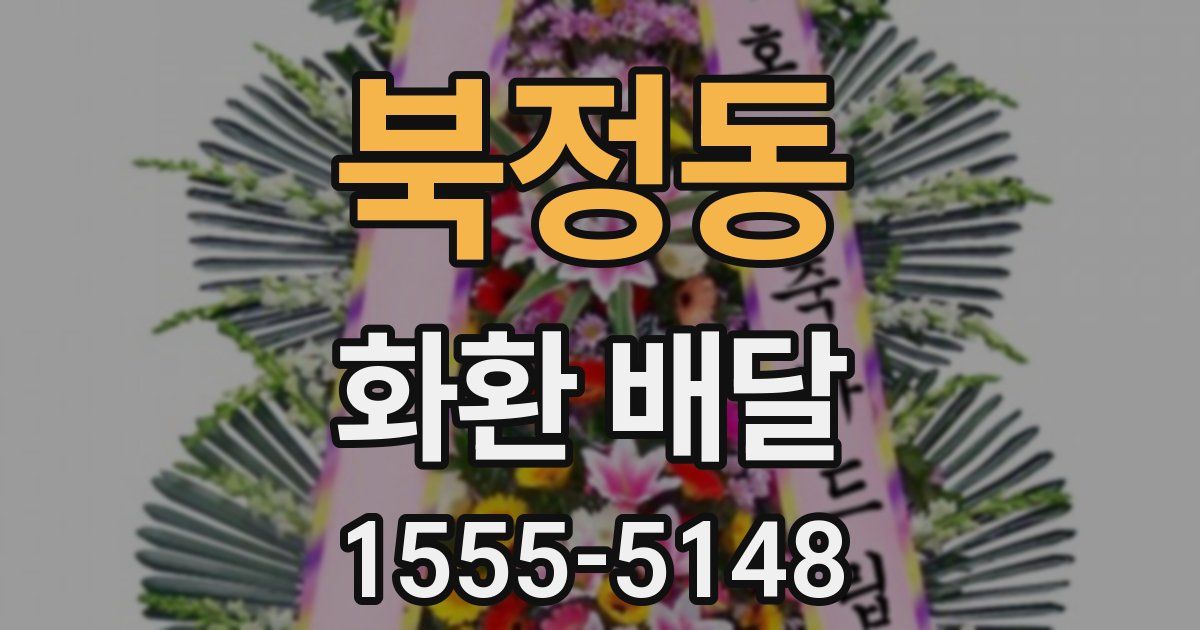 북정동 화환 배달