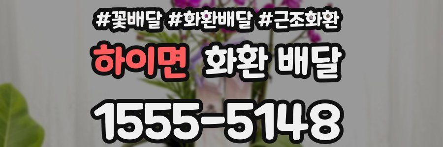 하이면 화환 배달