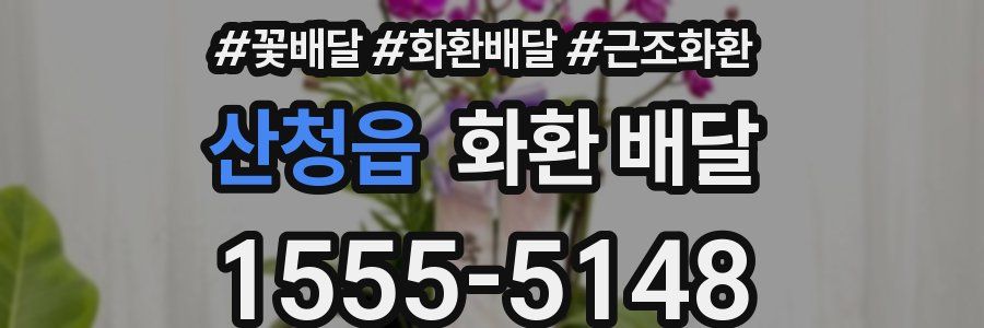 산청읍 화환 배달