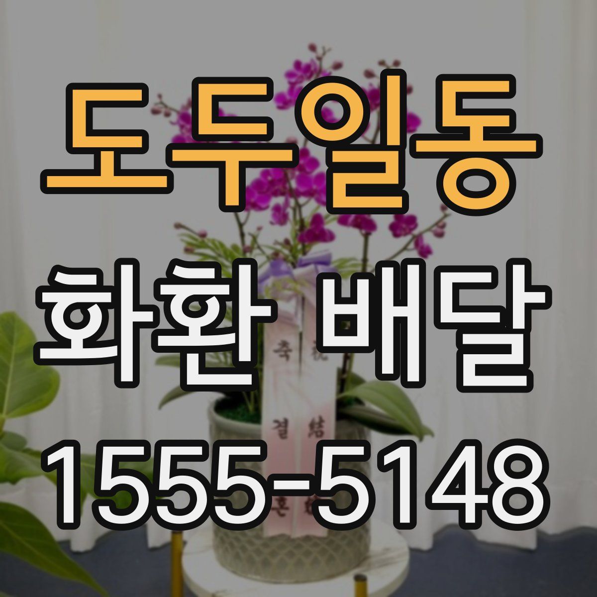 도두일동 화환 배달